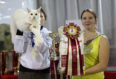   '--' 22-23  2014 13_161_169A8415 copy.jpg